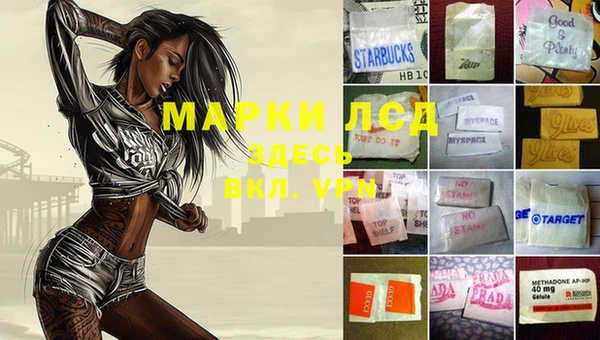 индика Белоозёрский