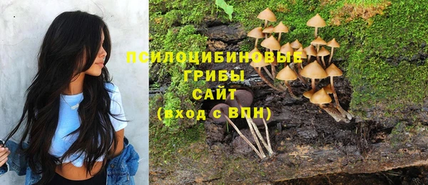 винт Беломорск