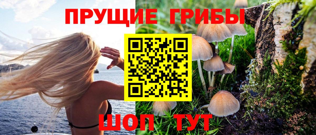 Псилоцибиновые грибы прущие грибы Армавир